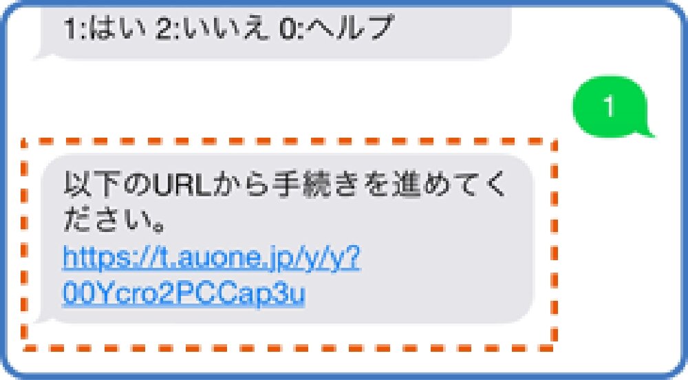 sms_3.jpg
